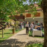 dvor-jezersek-digitalnium gostinstvo jezeršek