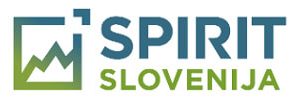 spirit-ft spirit-ft